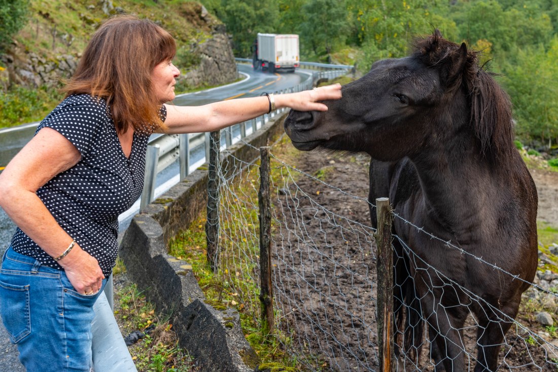 Roadtrip 106 (1 of 1)