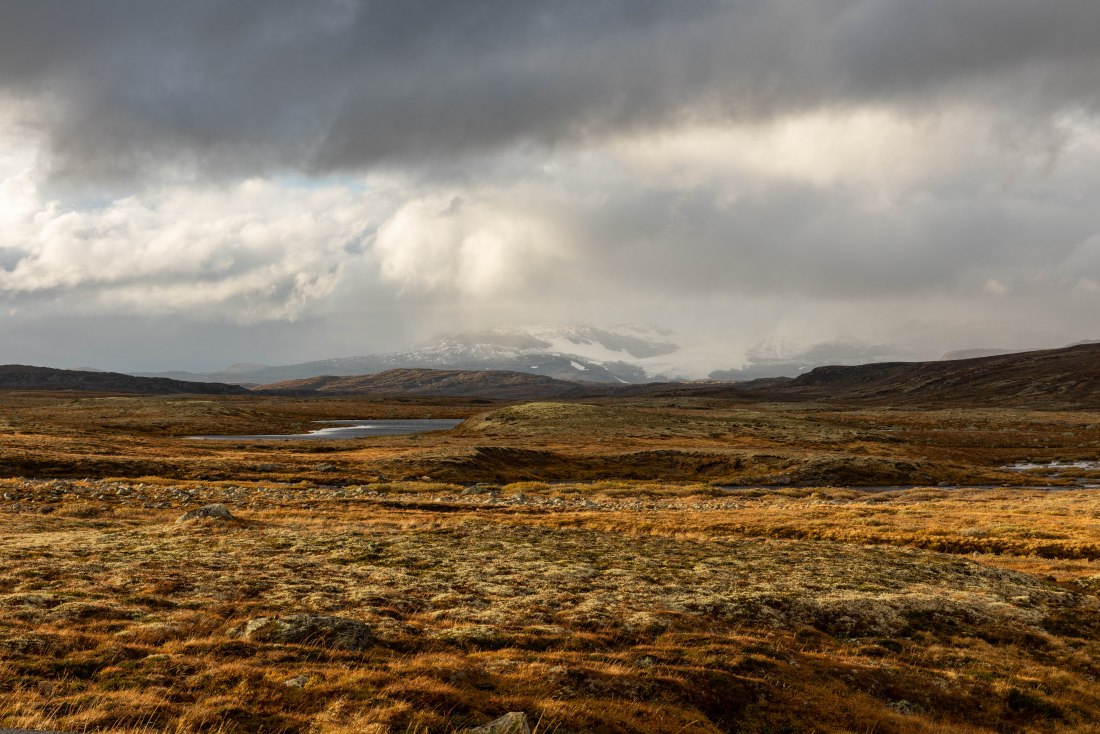 Roadtrip 107 (1 of 1)