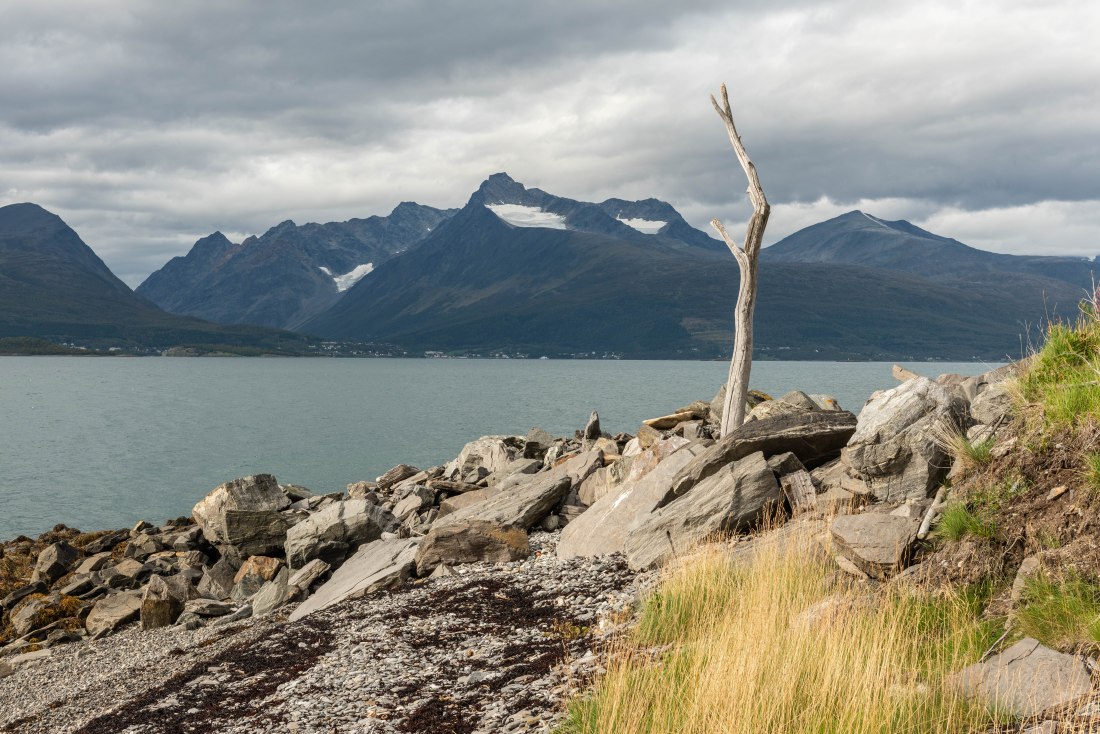 Roadtrip 48 (1 of 1)