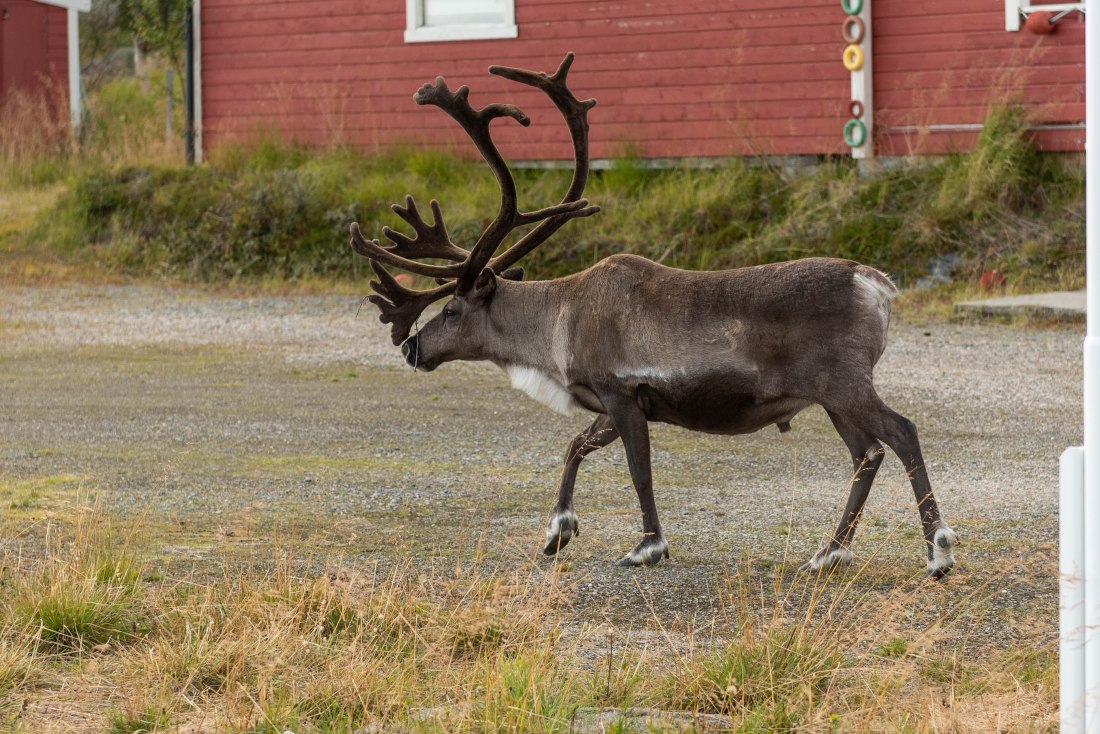 Roadtrip 50 (1 of 1)