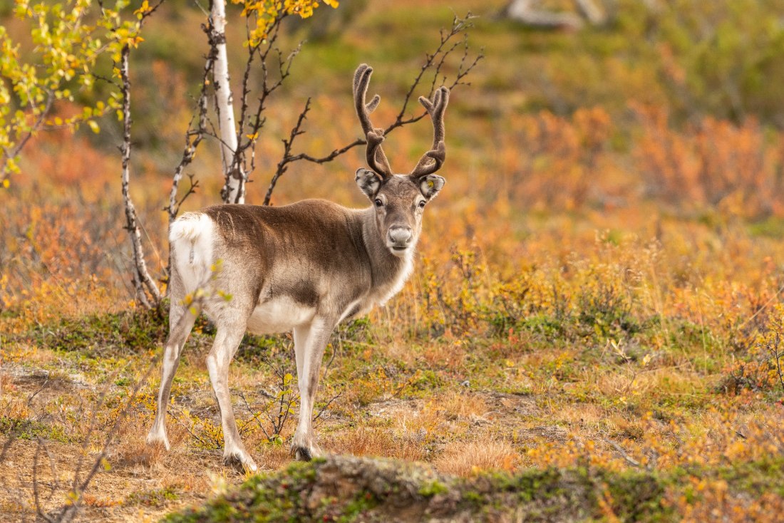 Roadtrip 54 (1 of 1)