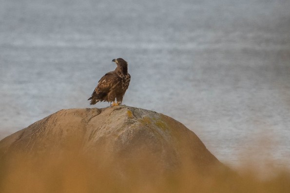 Roadtrip 76 (1 of 1)