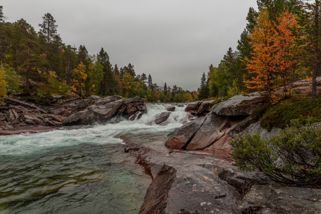 Roadtrip 88 (1 of 1)