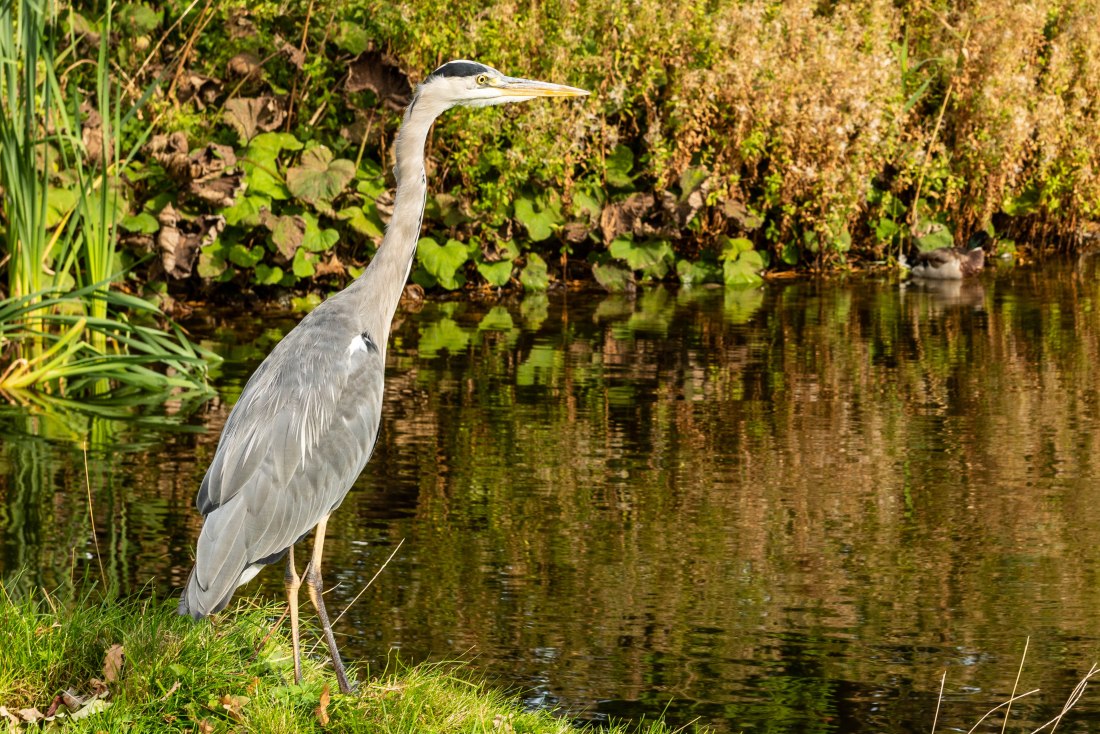 Roadtrip 122 (1 of 1)