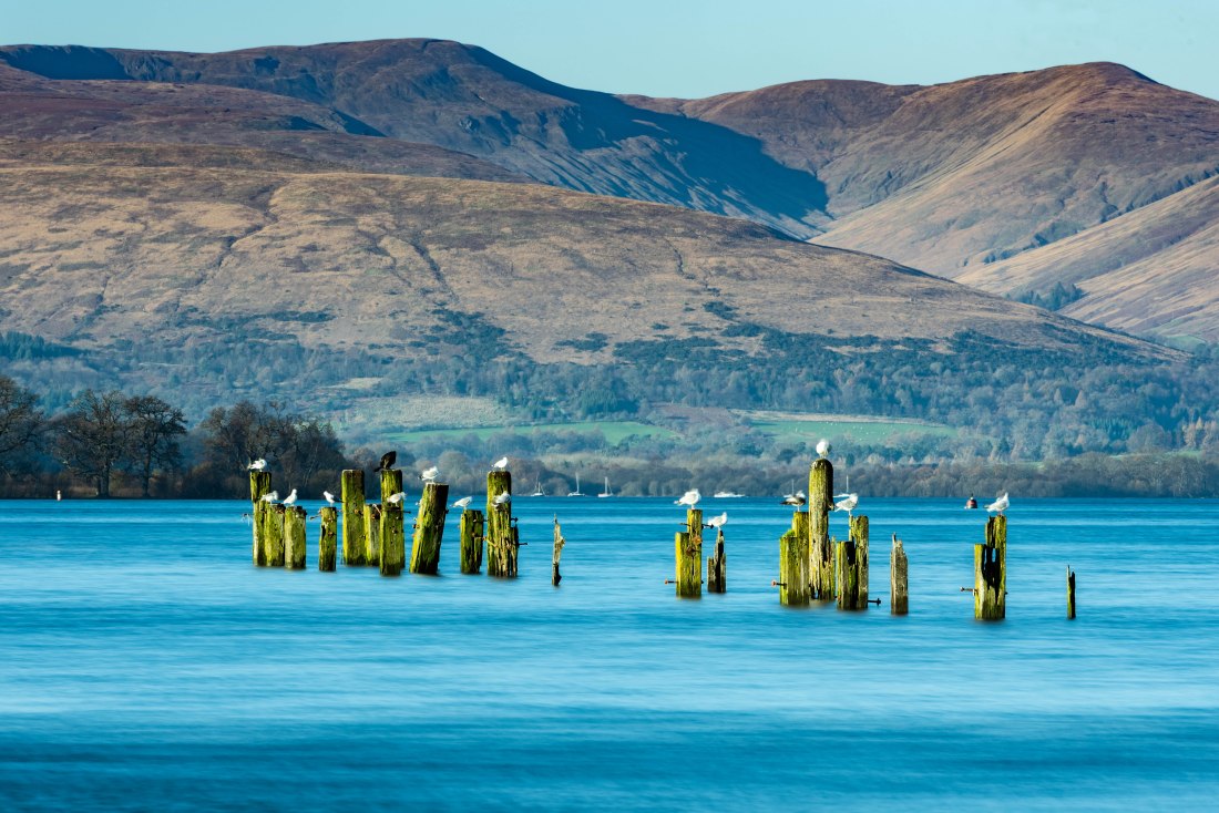 Loch Lomond 1 (1 of 1)