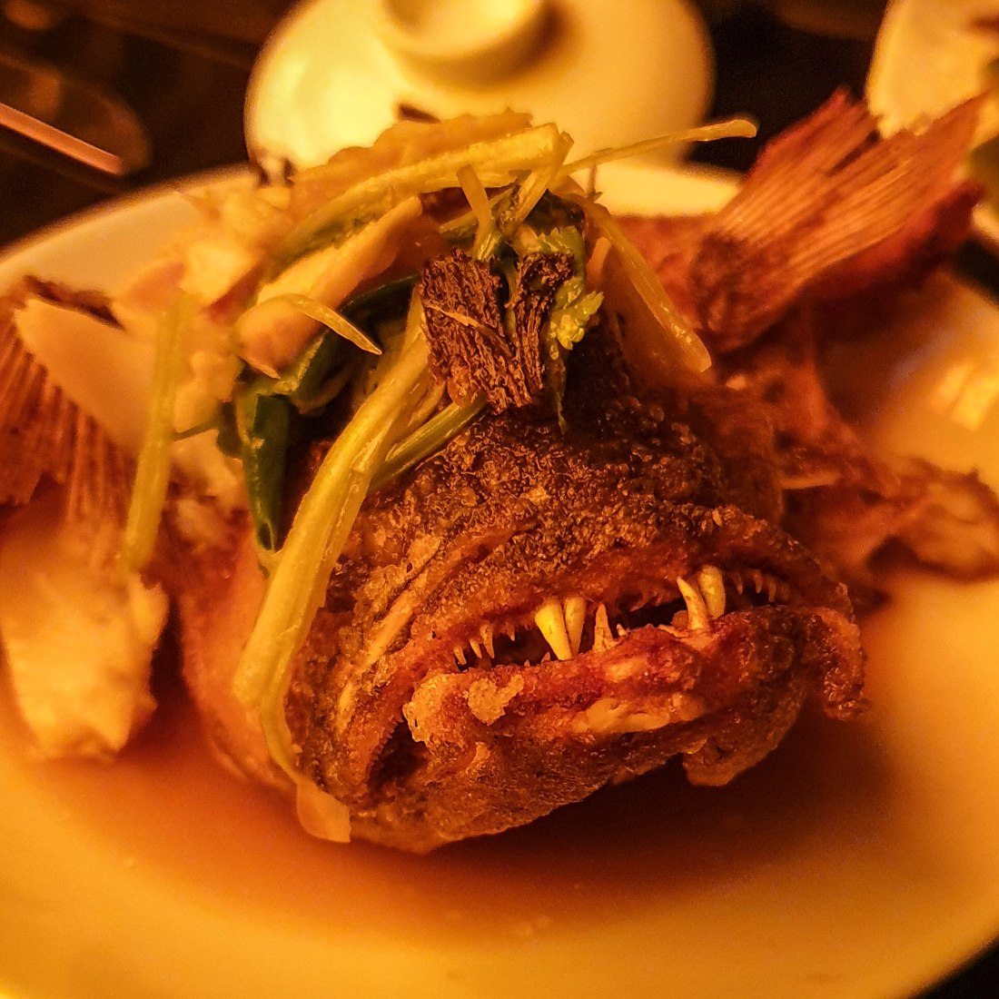 kl ugly fish (1 of 1)