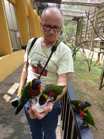 Bird Park 2