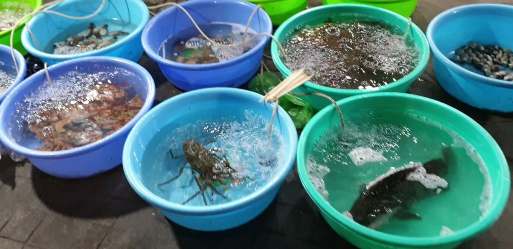 VideoCapture_20190822-223151