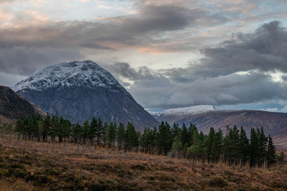 Glencoe 1 (1 of 1)